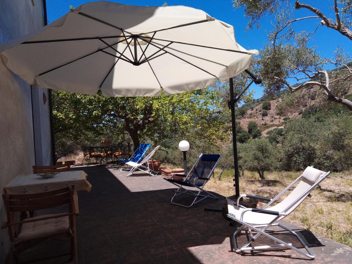 L'Antica Quercia B&B Castell'Umberto Eksteriør billede