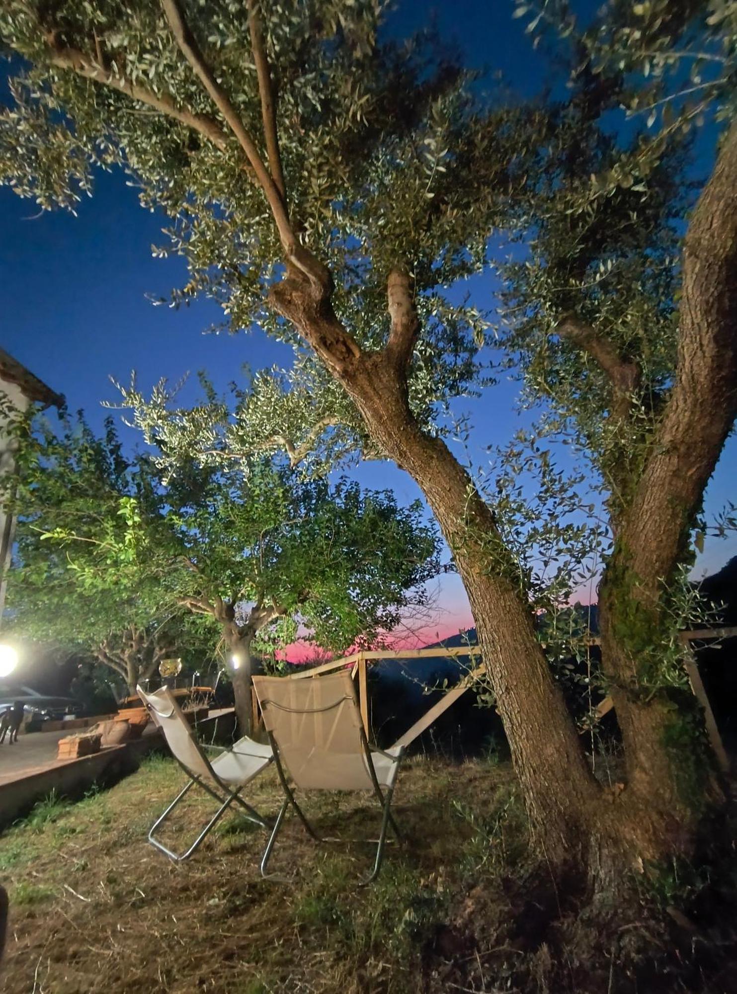 L'Antica Quercia B&B Castell'Umberto Eksteriør billede
